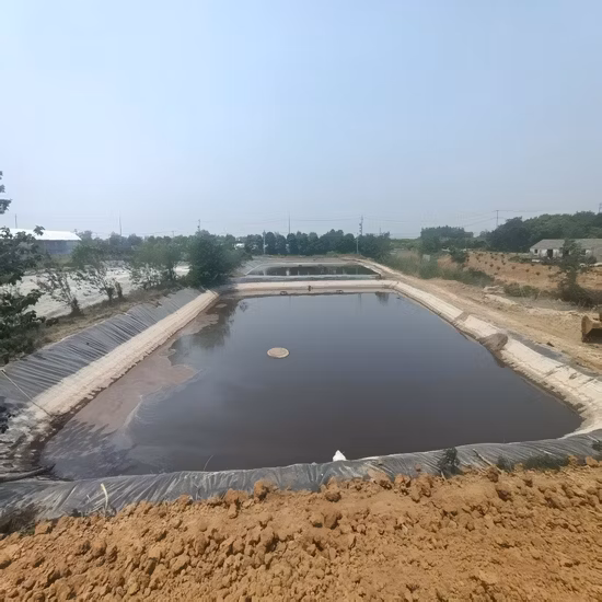 1mm